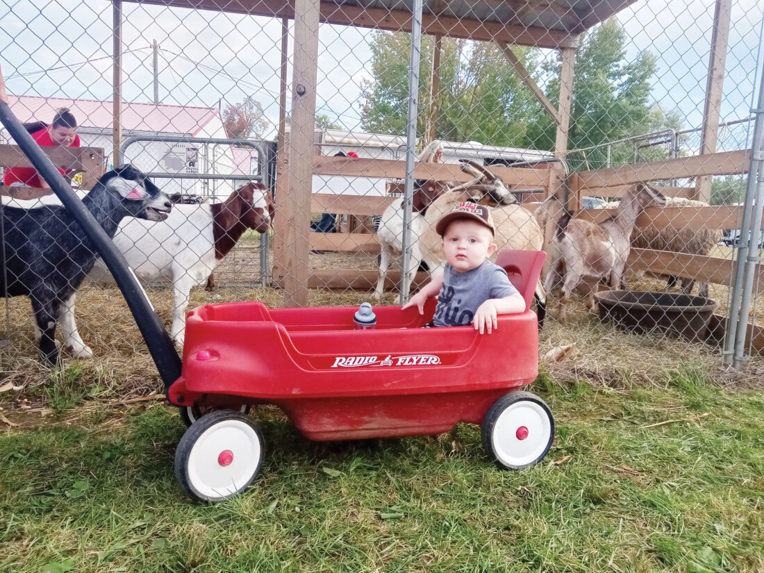 Barlow Fair Annual celebration attracts people of all ages News